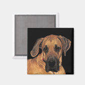 Grand chien Dane Magnets (Recto/Verso)