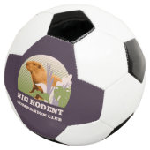 Grand Club de Compagnons Rongeurs Capybara (3/4)