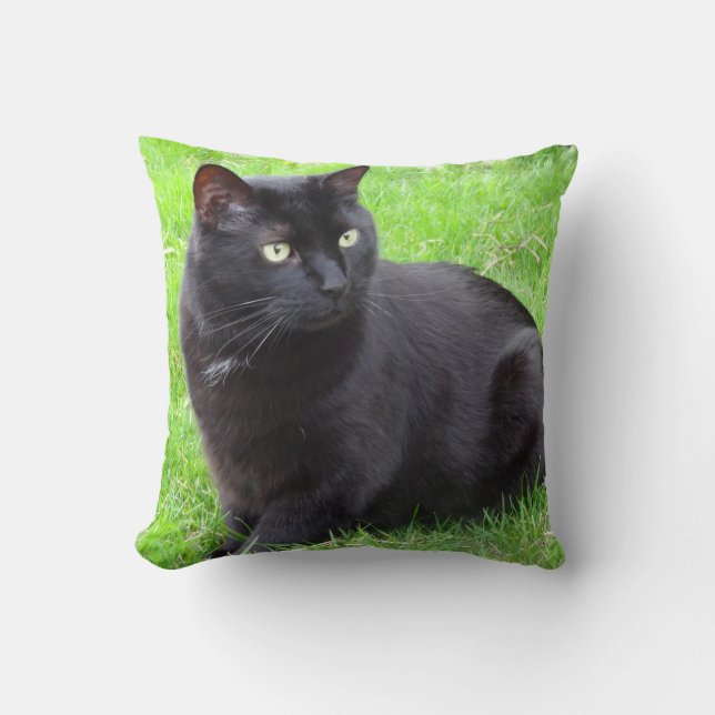 Grand coussin de chat noir (Recto)