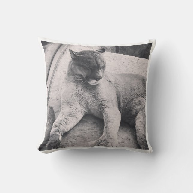 Grand Coussin de chats (Recto)