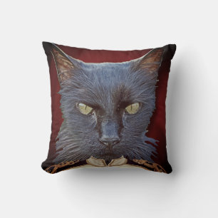 Grand Coussin général de chat !