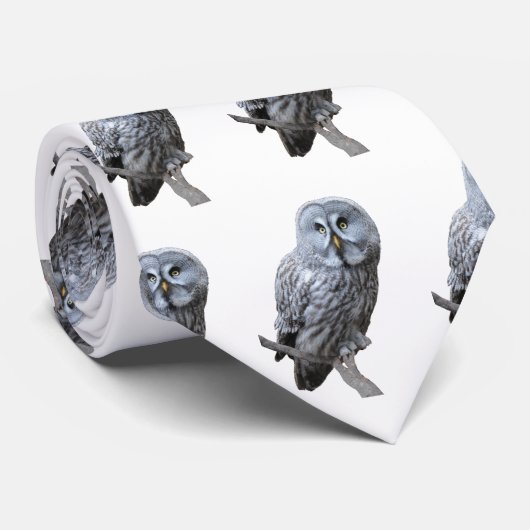 Grand Cravate Grey Owl (Roulé)