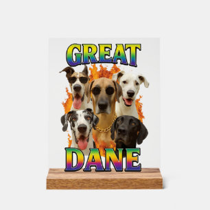 Grand Danois Copie