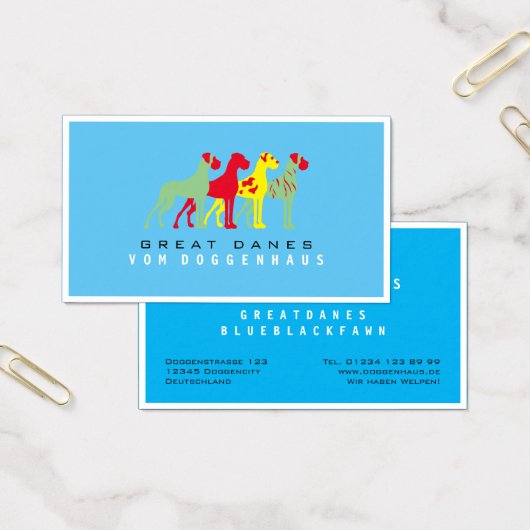 Grand Danois pur (Bureau)