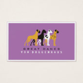 Grand Danois pur (Devant)