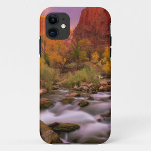 Grand Dawn iPhone 11 Hoesje