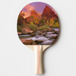 Grand Dawn Tafeltennisbatje