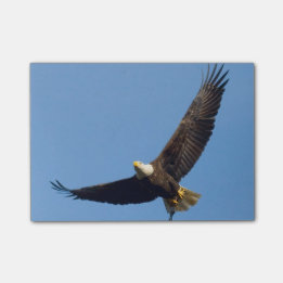 Grand Eagle Post-it® Notes