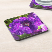 Grand ensemble de Dessous de verre de fleurs de pé (Côté gauche)