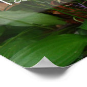 Grand est le moins cher sagesse poster de verdure (Coin)