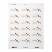 Grand Étiquette de adresse Dane (Feuille entière)