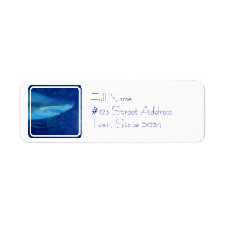 Grand Étiquette de messagerie de requins blancs