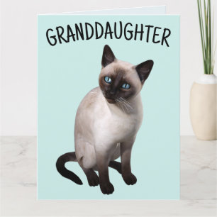 GRAND-FILLE SIAMESE CAT Carte de voeux Anniversair