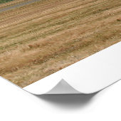 Grand Finale. Poster (Hoek)