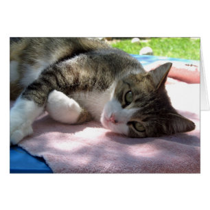 Grand Garçon Sur La Table Carte De Voeux Vierge