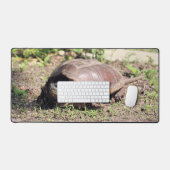 Grand gars (Clavier et souris)