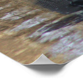 Grand Héron bleu dans l'eau Poster (Coin)