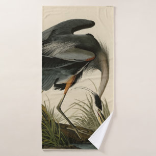 Grand héron bleu des oiseaux d'Amérique d'Audubon