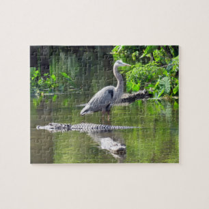 Grand Héron Bleu et Alligators Puzzle