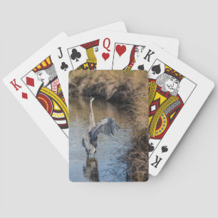 Grand Héron Bleu sur les cartes de jeu sur l'eau