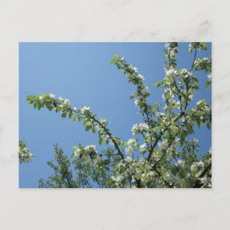 Grand Hotel, Mackinac Island, Mich. Briefkaart