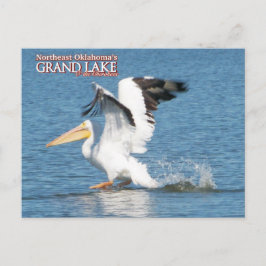 Grand Lake Oklahoma postkaart pelican 16v1