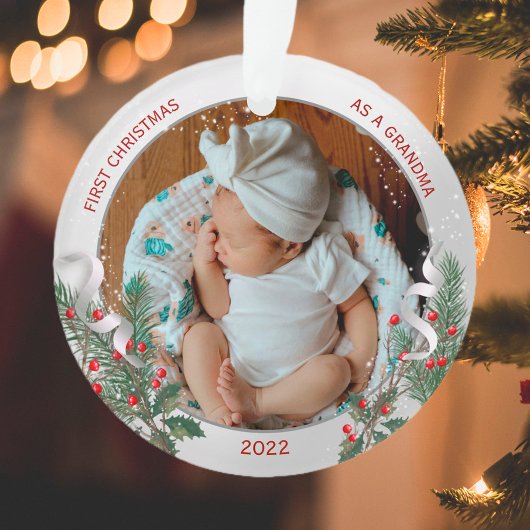 Grand-mère 1er cadre Plante classique en argent de