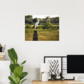 Grand Oiseau d'aigrettes à Viera Poster des zones  (Bureau à domicile)