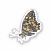 Grand papillon, autocollant vinyle (Recto)