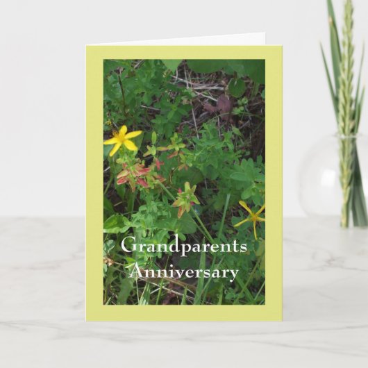Grand-parents Anniversaire Carte de voeux pliée (Devant)