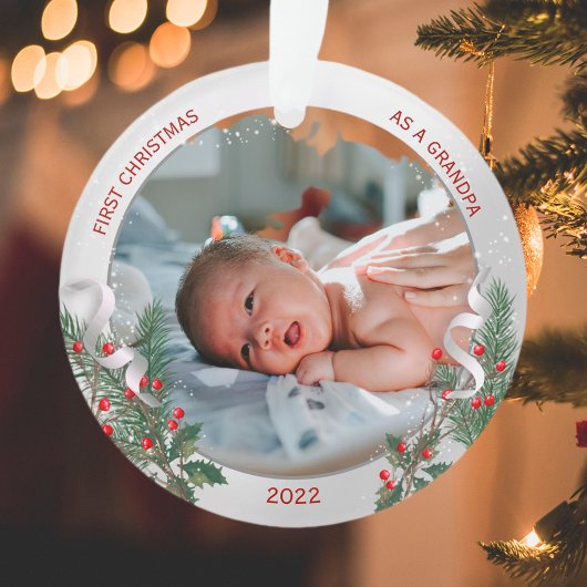 Grand-père 1er cadre classique Plante en argent de