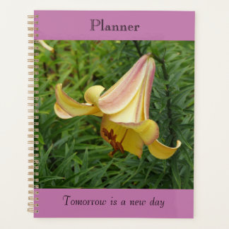 Grand planificateur Lily