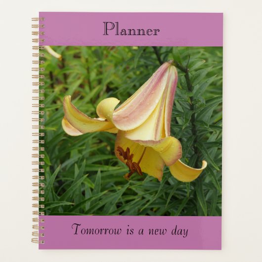 Grand planificateur Lily (Devant)