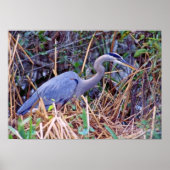 GRAND POSTER BLUE HERON (Devant)