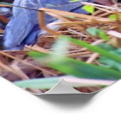 GRAND POSTER BLUE HERON (Coin)