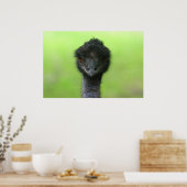 grand poster d'autruche (Cuisine)