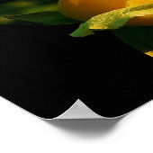 Grand Poster de Rose Jaune (Coin)