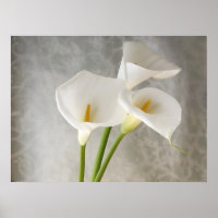 grand poster du tablier calla lilies