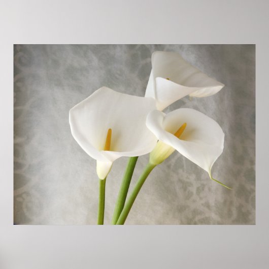 grand poster du tablier calla lilies (Devant)