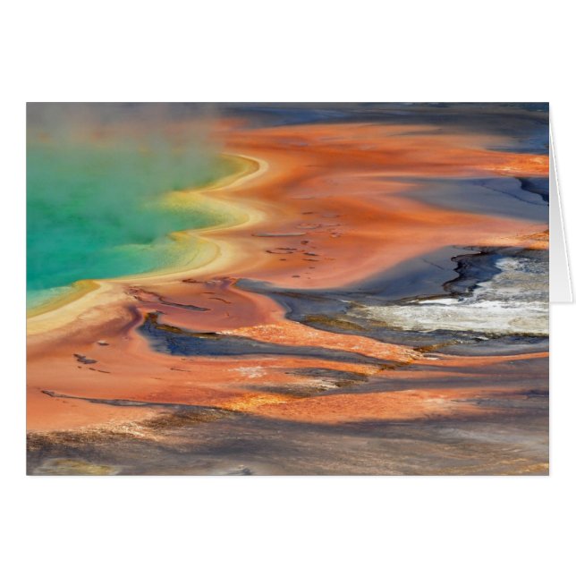 Grand Prismatic Spring Runoff (Voorkant Horizontaal)