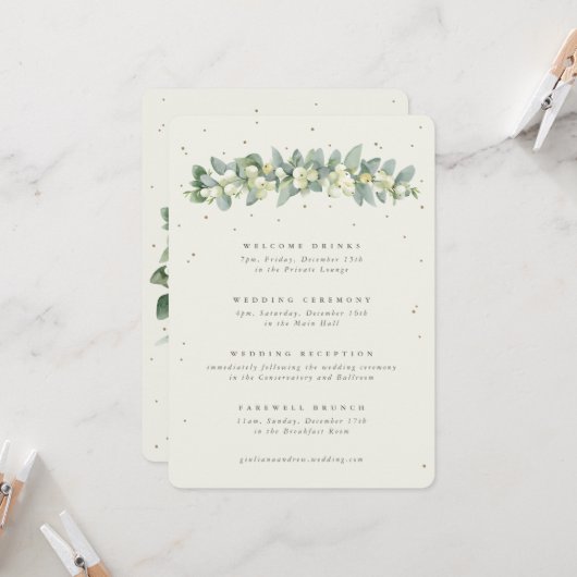 Grand Programme de Mariage Crème et Eucalyptus ave (Devant/Arrière en situation)