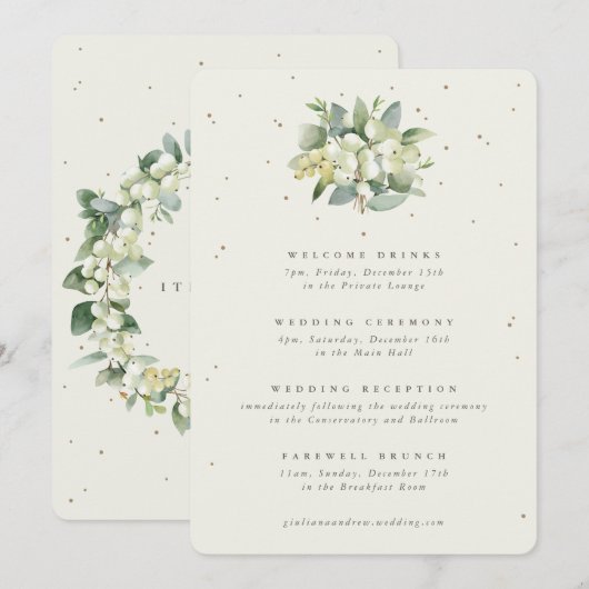 Grand Programme de Mariage Crème et Eucalyptus ave (Devant / Derrière)