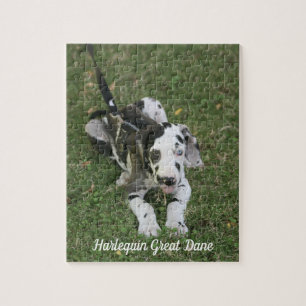 Grand Puzzle de Chiot Dane