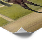 Grand Racer Kingston - paardenraces Poster (Hoek)