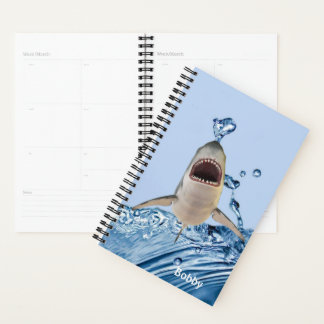 Grand requin blanc