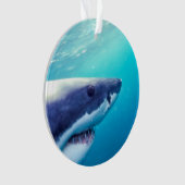 Grand requin blanc | Afrique du Sud (devant)