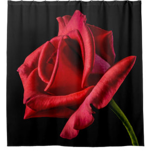 Grand rideau en douche refoulé de rose rouge