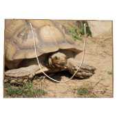 Grand Sac Cadeau Ala aldabra (Dos)