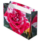 Grand Sac Cadeau Ancienne (Dos Angle)