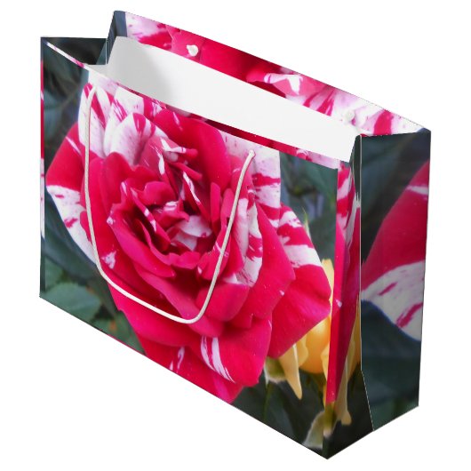 Grand Sac Cadeau Ancienne (Devant Angle)